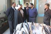 مدیرکل دامپزشکی سیستان و بلوچستان از بازار ماهی فروشان زاهدان بازدید کرد